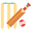 cricket icon