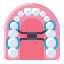 Palatal icon