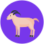 Chèvre icon