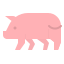 Carne de porco icon