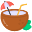 coconut drink icon