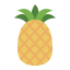 pineapple icon