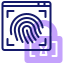 Anti-Phishing/fingerprint lock icon
