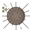 Sea Urchin icon