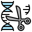 gène icon