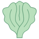 office l style lettuce icon