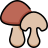 Shitake Mushroom icon