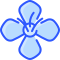 arugula icon