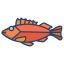 Rock Fish icon