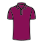 polo icon