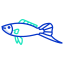 Swordtail Fish icon