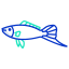 peixe espada icon
