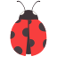 Ladybug icon