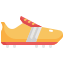 shoes icon