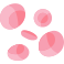 blood cells icon