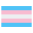 Transgender Flag icon