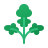windows 11 color style parsley icon