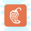 cute clipart style chipotle icon