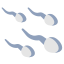 spermatozoïdes icon