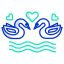 love swans icon