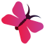 buttefly icon