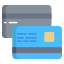 Carte bancarie icon