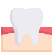 Anatomy icon