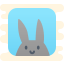 学习兔子 icon