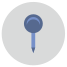 Pin icon