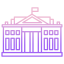 white house icon