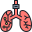 lungs icon