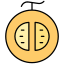 cantaloupe icon