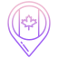 location icon