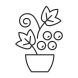Berry Shrubs And Vines icon