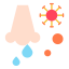 coronavirus icon