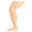 Leg icon