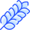wheat icon