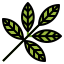 Botanical icon