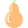 squash icon