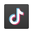 的TikTok icon