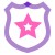 Distintivo de polícia icon