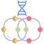 molecular biology icon