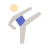 taekwondo-tipo-pelle-1 icon