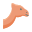 camel icon
