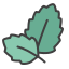 mint icon