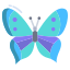 Butterfly icon