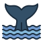 Whale Tale icon