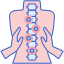 chiropractic icon