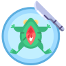 diseccion icon