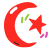 scribby style moon star icon